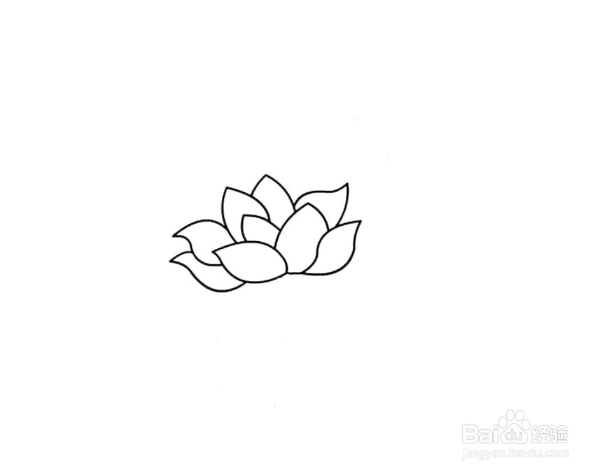 荷花简笔画 分步画法