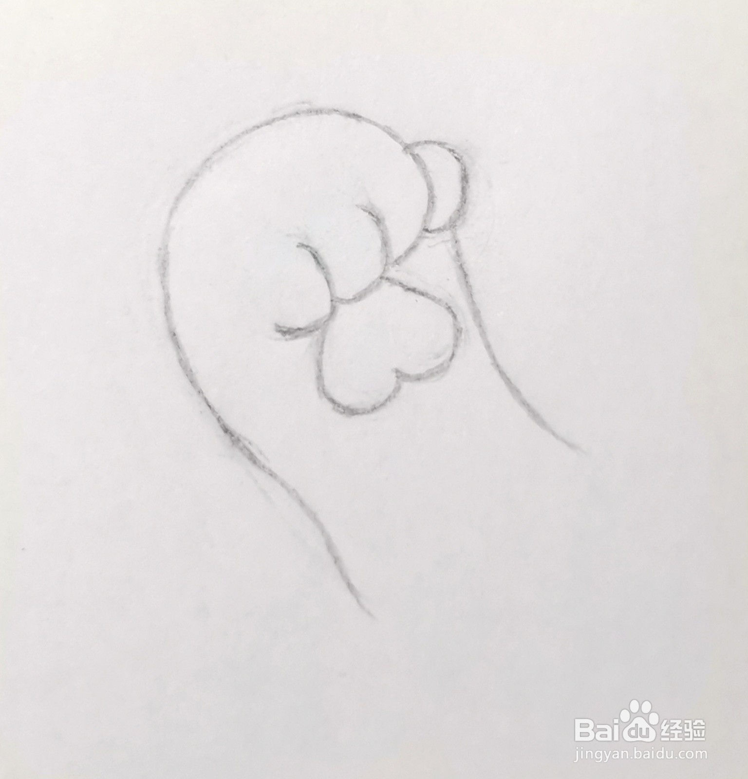 猫爪子怎么画素描图片