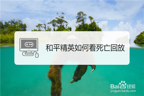 和平精英如何看死亡回放