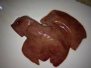 怎样煮猪肝好吃