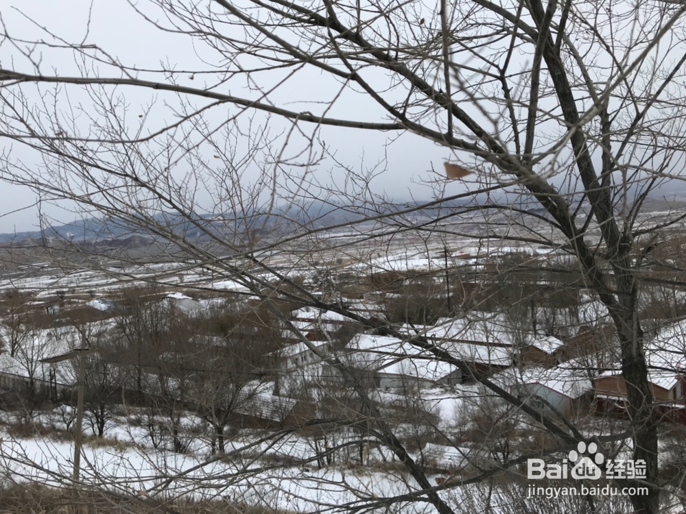 怎样拍摄风雪中的景色