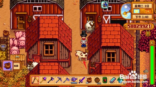 星露谷物语奶酪怎么获得