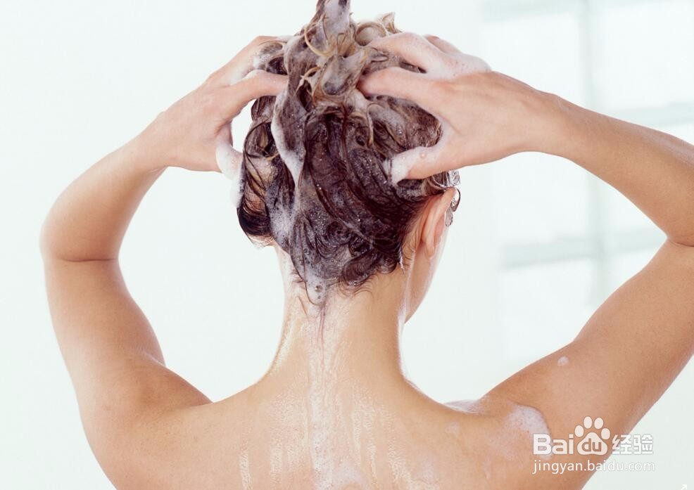 怎么用奥地利有机迷迭香洗头,来去油防掉发?
