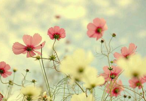 如何跟女朋友说早安