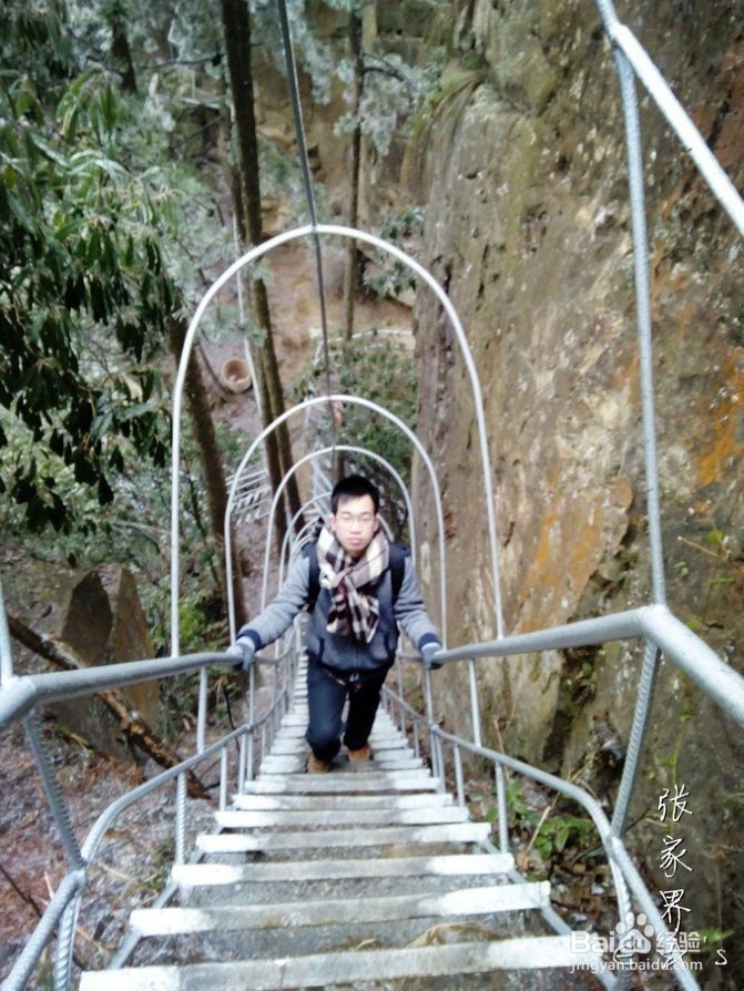 2016张家界旅游攻略实用攻略+费用+小贴士+游记