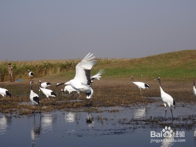 一路向北，风林火山——黑龙江