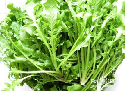 怎样包荠菜馅饺子