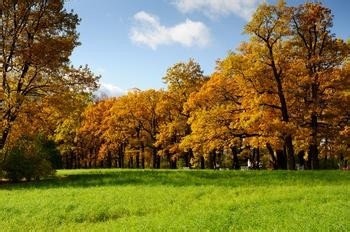 秋季应当注意的问题。