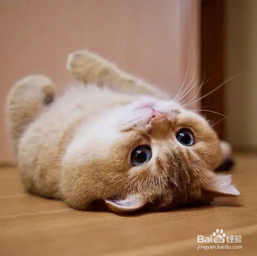 大一新生开学“4带4不带”#入学准备攻略#