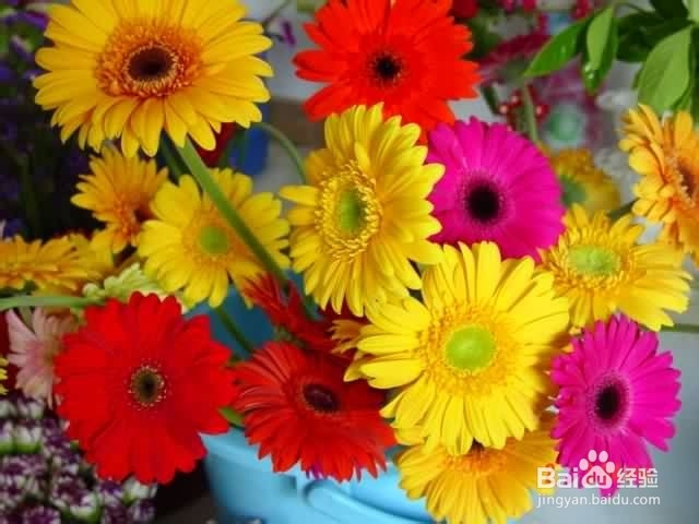 异地恋如何保持亲密感?