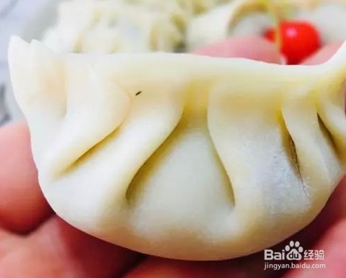 西洋猪肉菜饺子