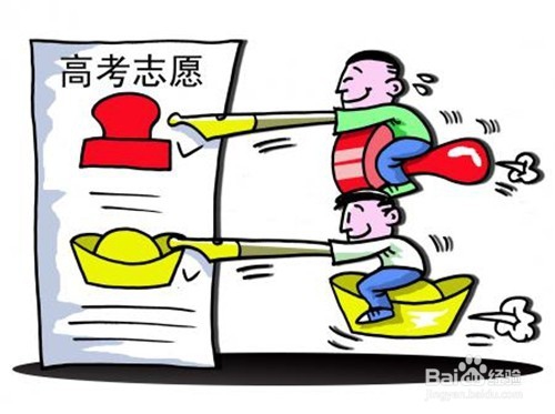 怎样填报高考志愿才能提升录取率