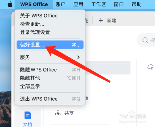WPS office mac版如何打开高级设置