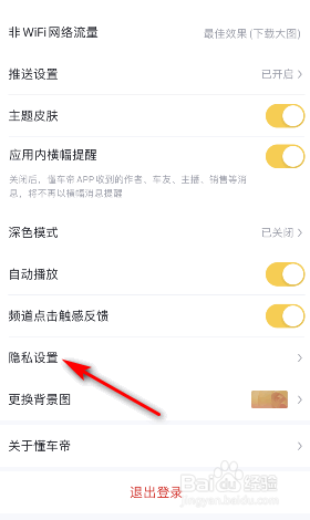 懂车帝怎么开启基本功能模式