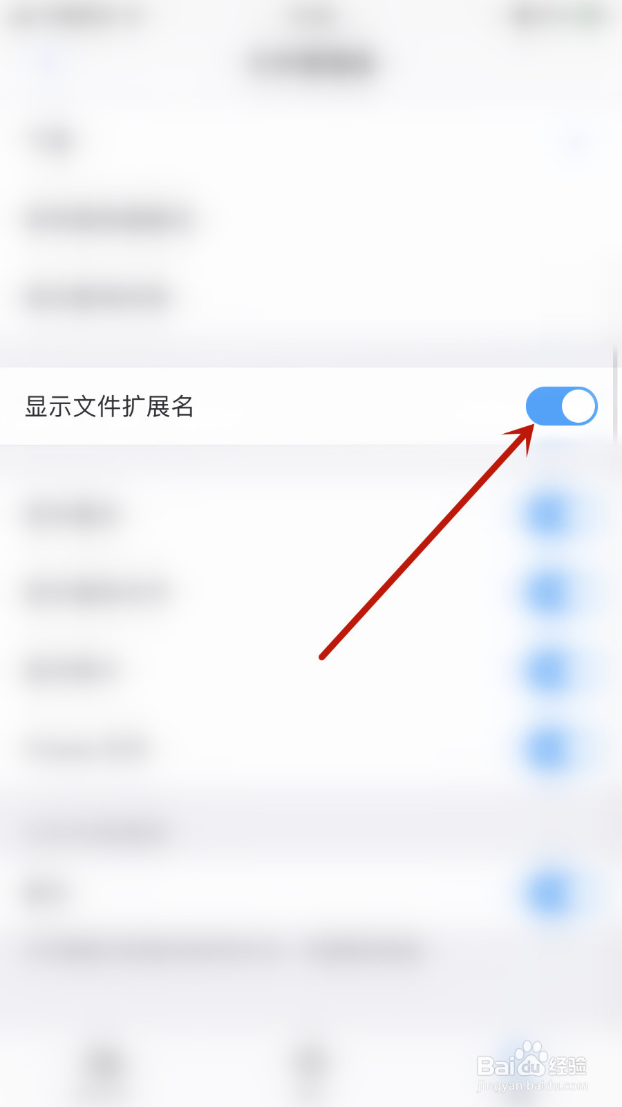 PDF Expert如何设置显示文件扩展名关闭
