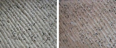 怎么做芝麻椰蓉蛋糕卷