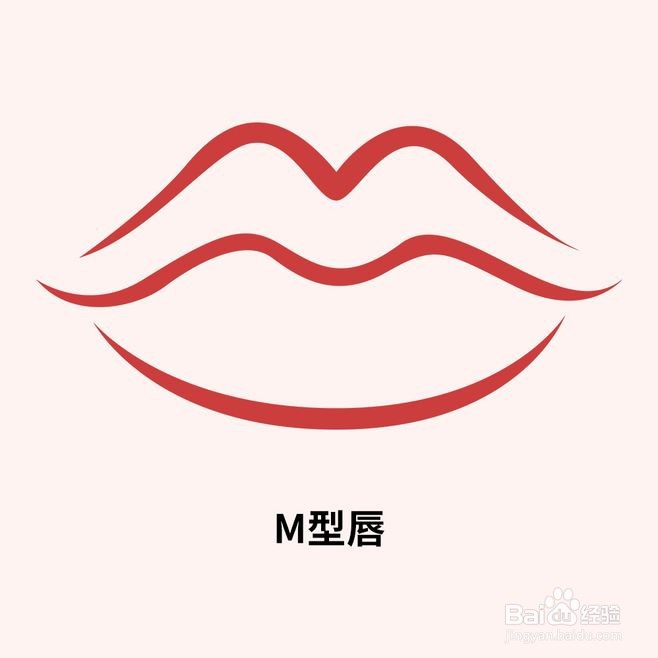嘴唇类型图片