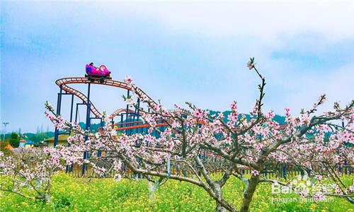 田园嘉乐比乐园攻略