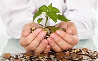 创业之前必须要准备好的事情