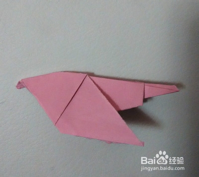 乐乐老师教你做手工之▁▁折纸鸽