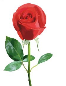 你追的女孩子生气了,怎么办?