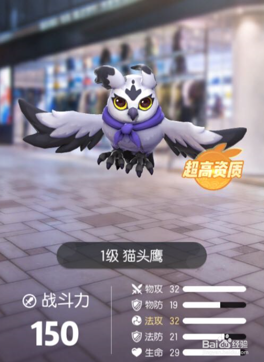 一起来捉妖猫头鹰怎么样 猫头鹰值得培养吗