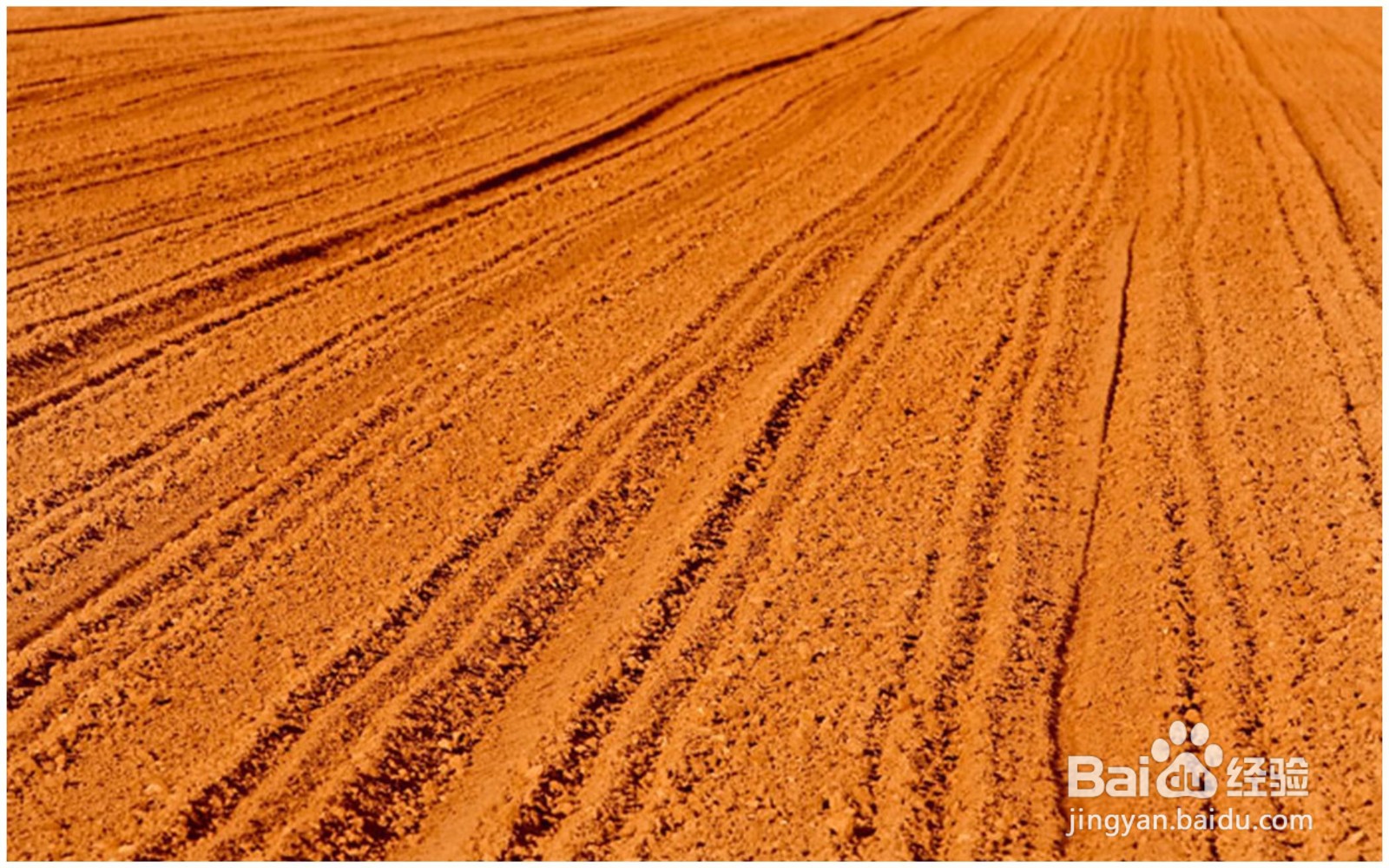 占用农田怎么补偿