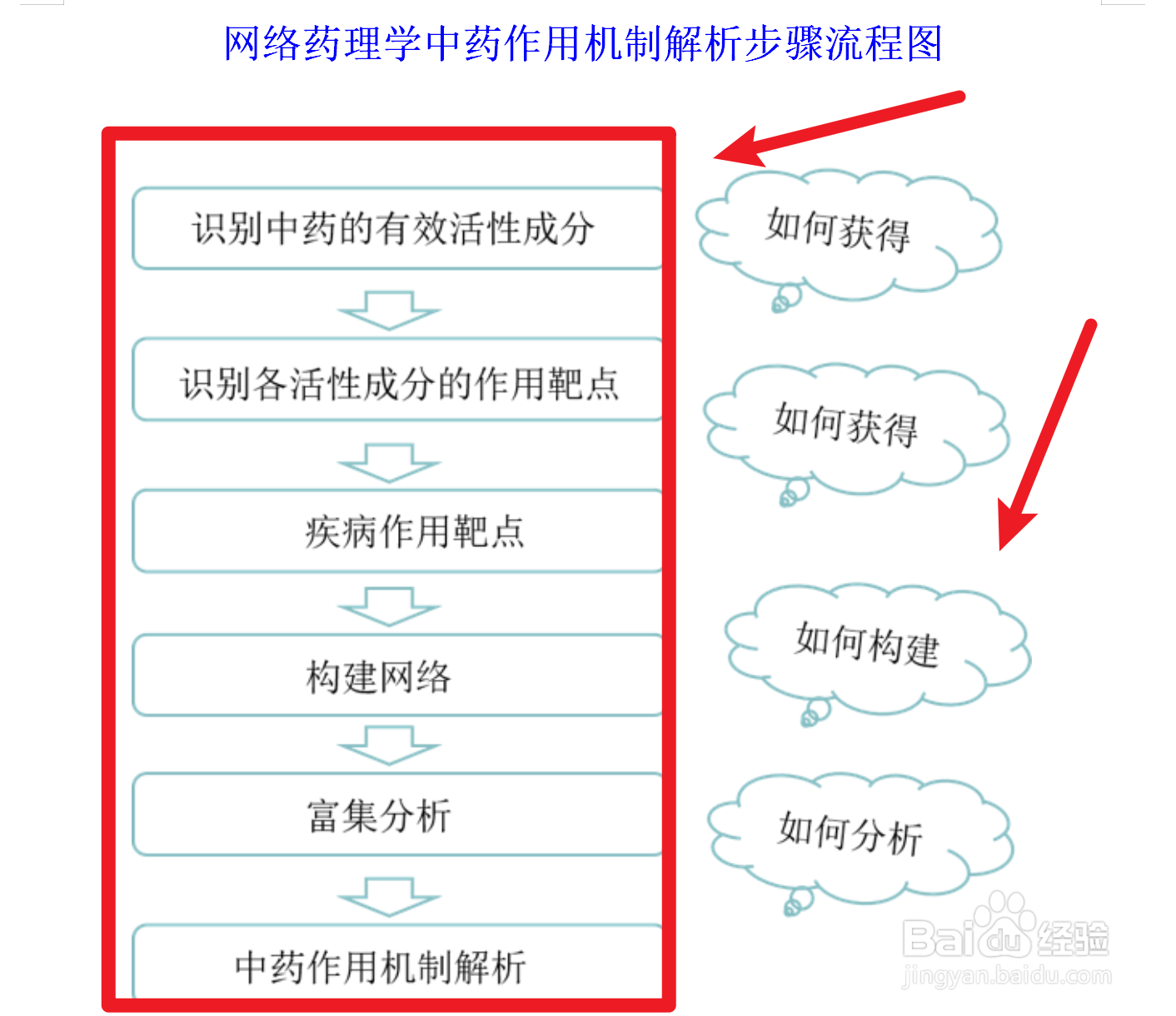 网络药理学流程图图片