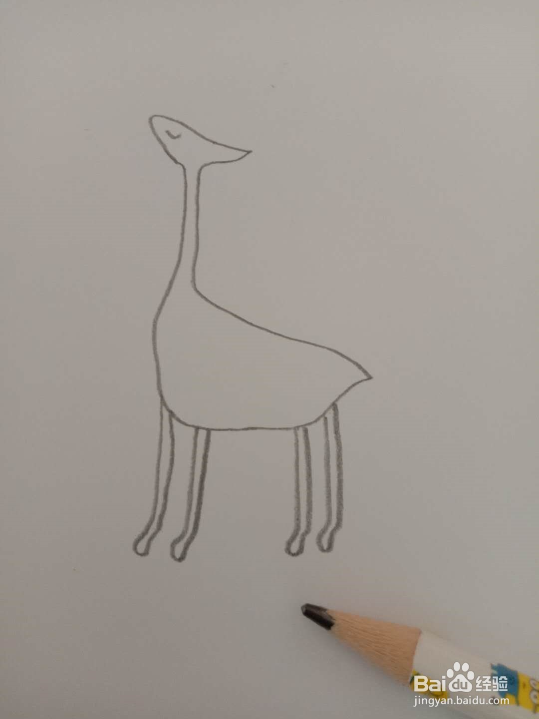 简笔画 如何画小鹿