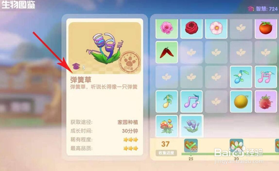 摩尔庄园弹簧草怎么使用