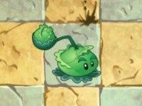 植物大战僵尸——进阶植物的建议(初期篇)