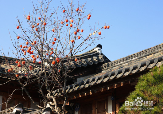 房子太暗怎么装修