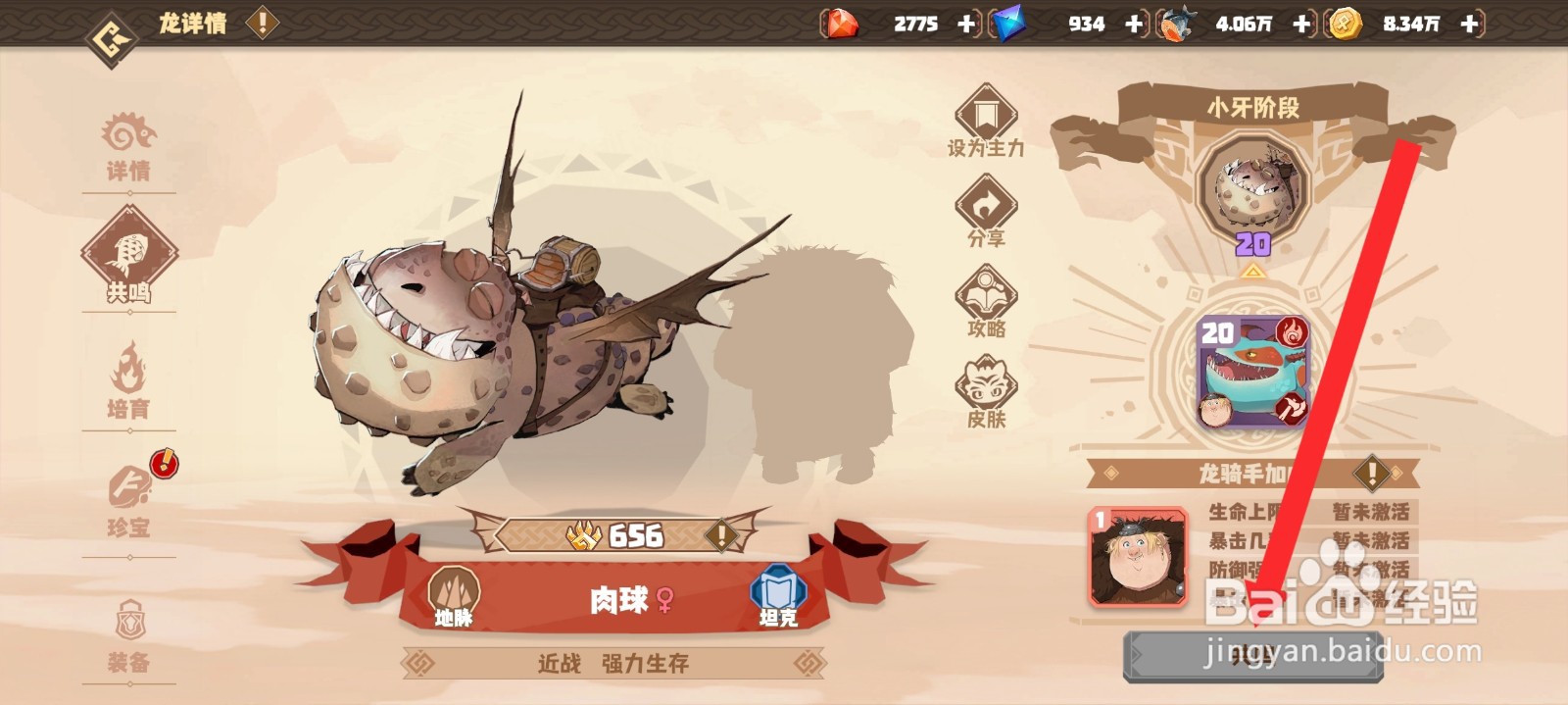 驯龙高手旅程如何共鸣肉球龙