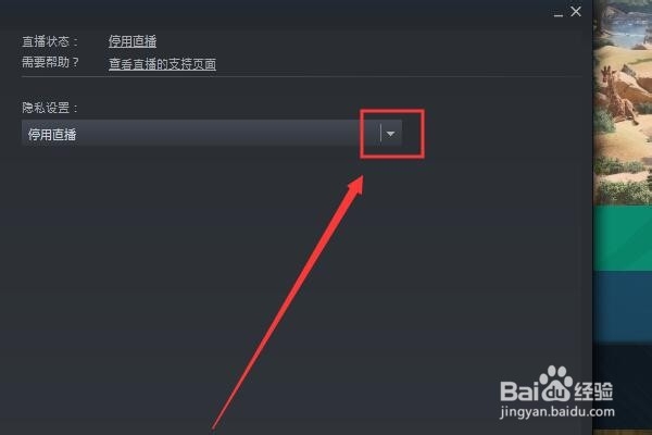 steam如何开直播