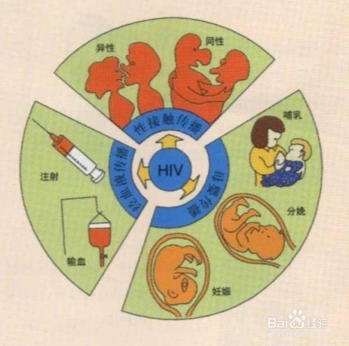 艾滋病病源首次确认及防护注意事项