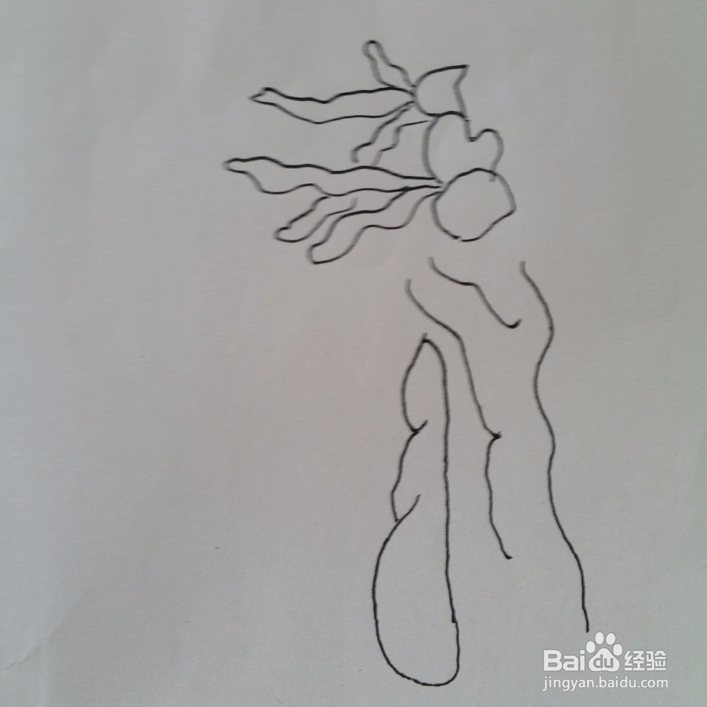幼儿手工简笔画热闹的水底世界