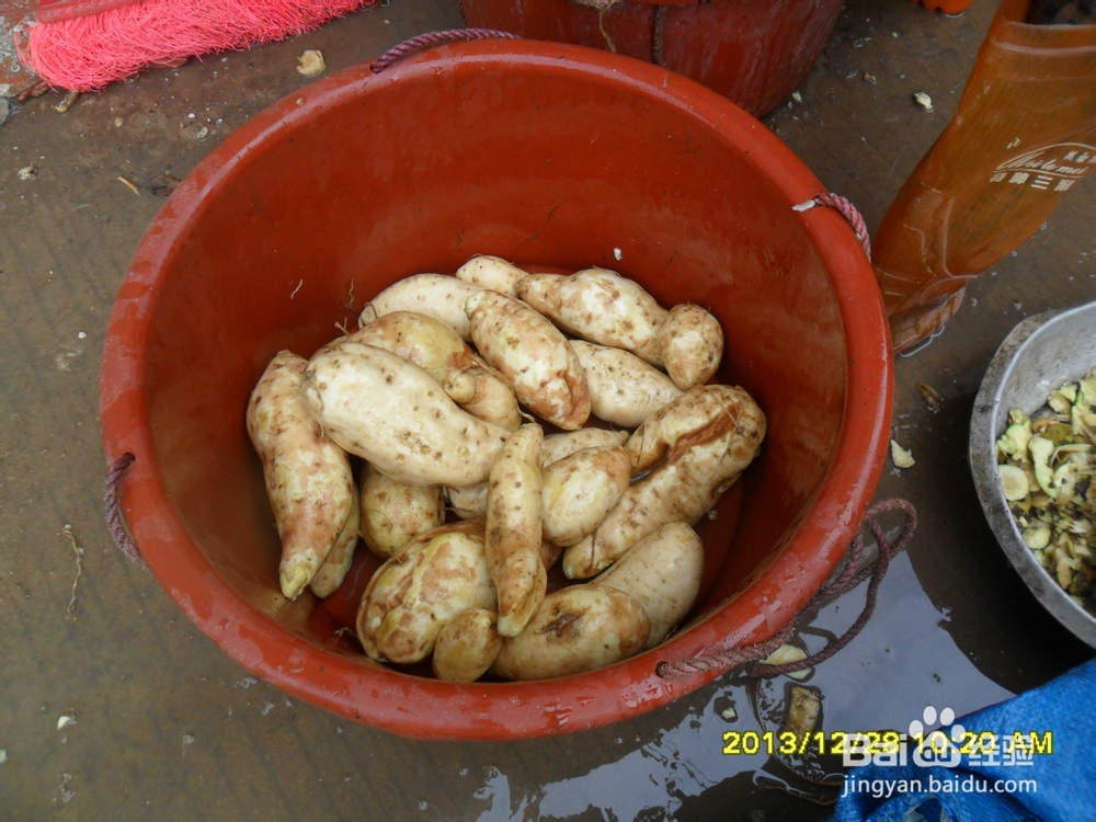 家庭自制地瓜粉(番薯粉)