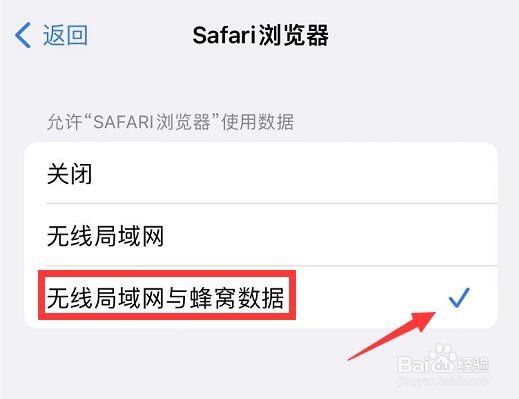 手机的Safari浏览器打不开是怎么回事