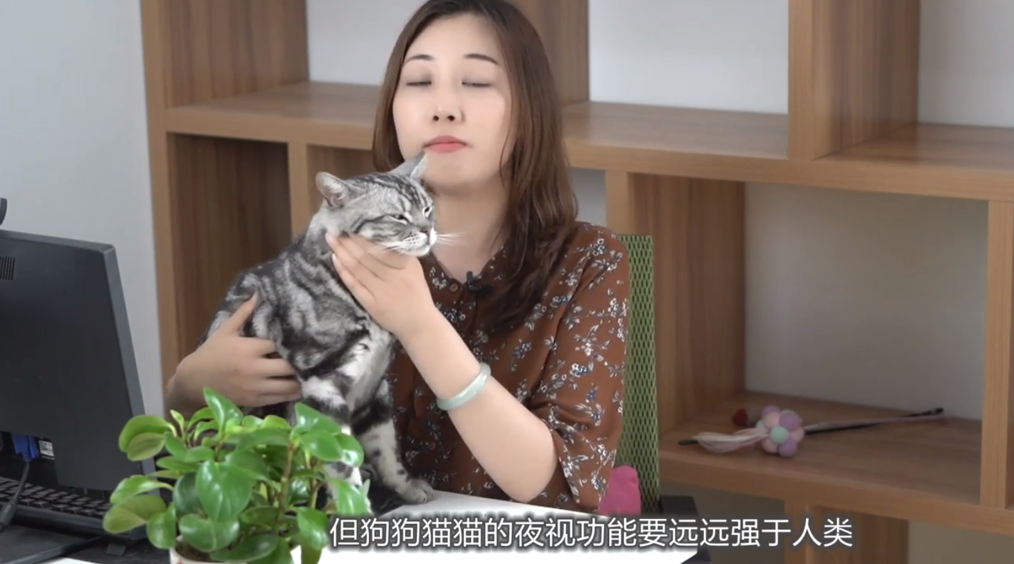 狗狗猫猫都是近视眼吗