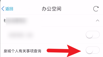 爱山东泉城办怎么设置开启个人事项查询功能