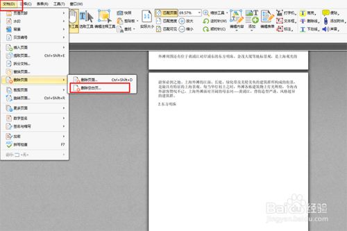 怎么删除pdf文档中的空白页 百度经验