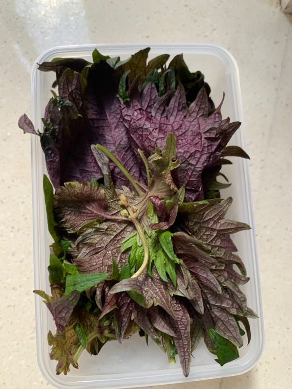 茯苓薏米莲子汤