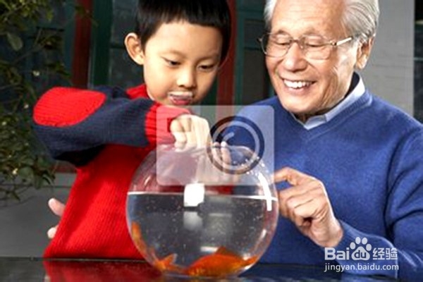 面包有什么用途?