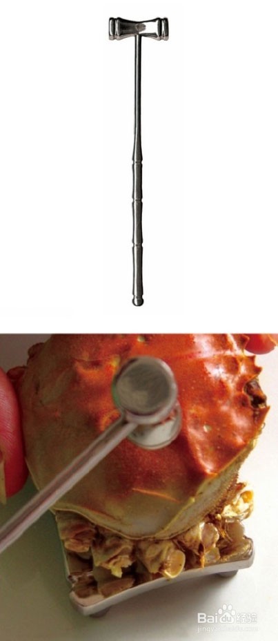 体验蟹八件“文吃”螃蟹!