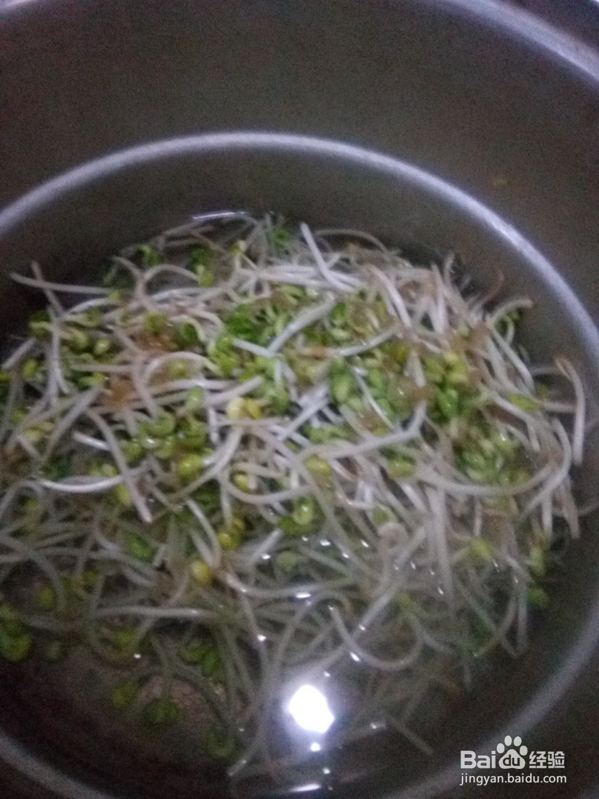 凉拌菜胡萝卜丝拌豆芽