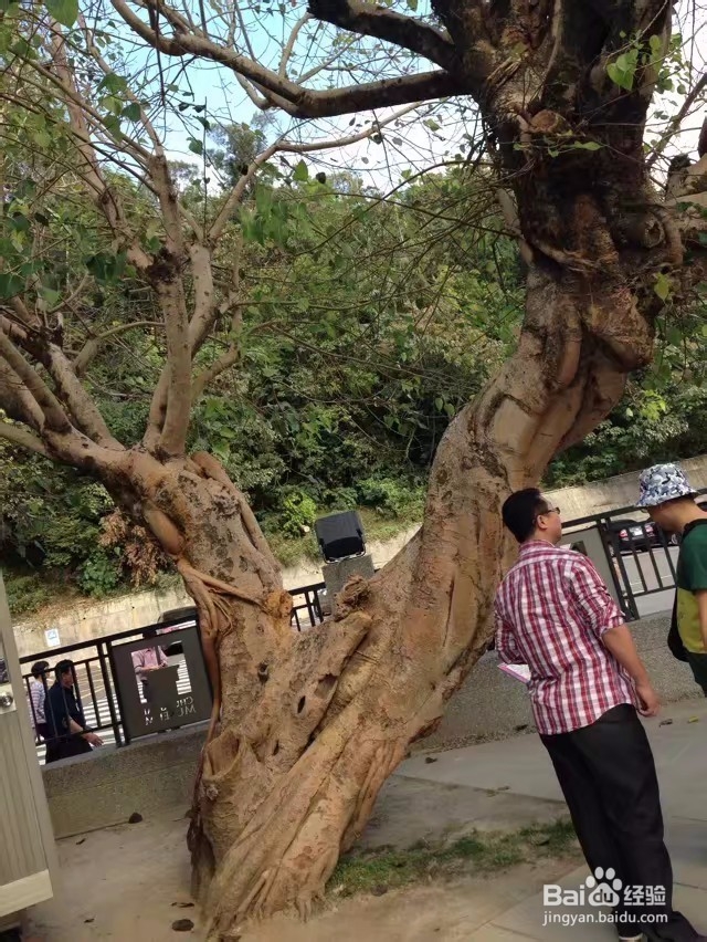 中国台湾台北一日游攻略二