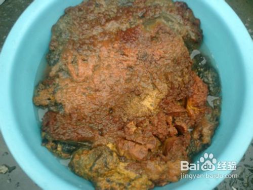 鉴定太岁肉灵芝,如何鉴定纯天然野生太岁肉灵芝