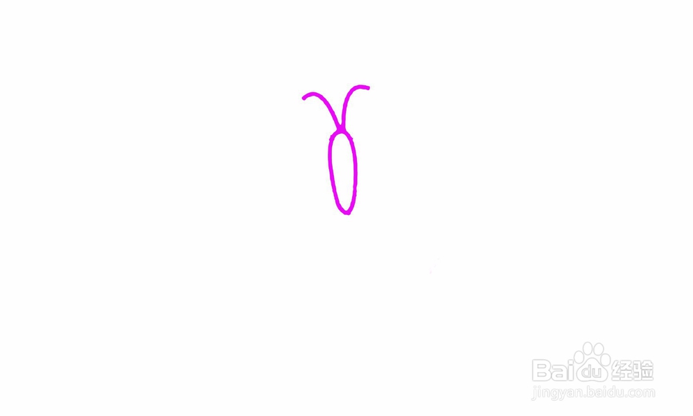 简笔画蝴蝶怎么画