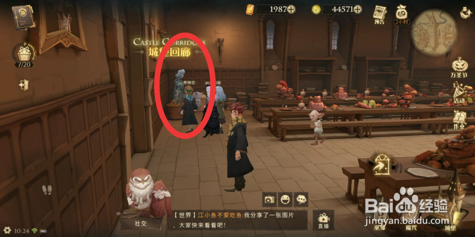 哈利波特万圣节特别活动怪诞之夜(第四天)攻略