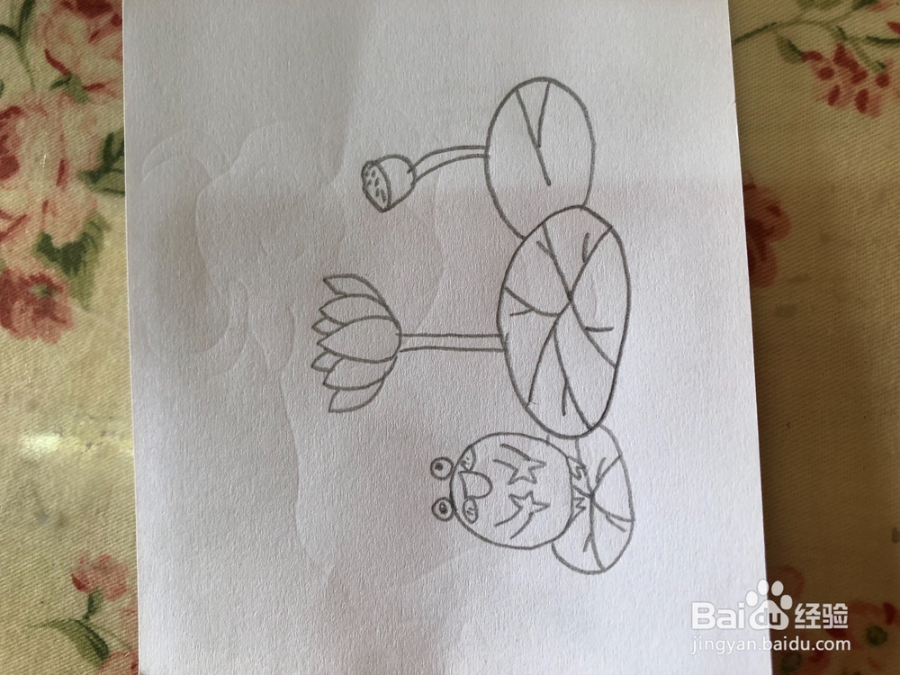 教你画夏日荷塘